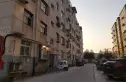 桃李园实景图