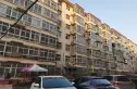 桃李园实景图