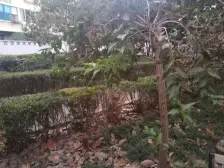 房东诚意出售,采光不遮挡一梯两户,精装修