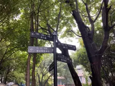 经开区 翠堤春晓三房113万