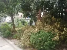 江海二村(奉贤) 3室1厅 南