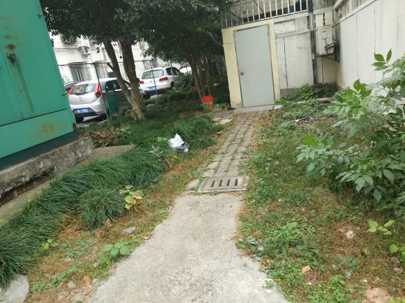 南市街16弄小区实景图