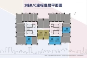 1栋B/C座标准层平面图