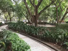 上海城两房+3号线工贸轻轨站+商圈+中庭好环境+天台岗