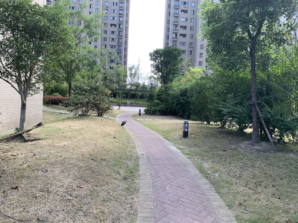小区相关图