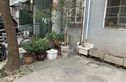 曹安公路2089弄小区实景图