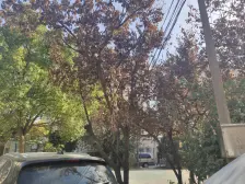 一梯2户 明亮通透 产权清晰 看房方便