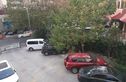 永乐花园实景图