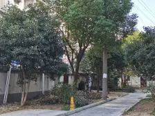 两房朝南一楼带院子,清水毛坯,六号线地铁