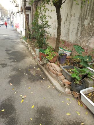南市街16弄小区实景图