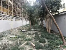 育秀学屈,有车位,精装修,可作三房,美丽家园改造