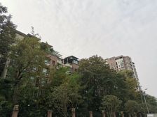 棠湖泊林镇2室2厅东西