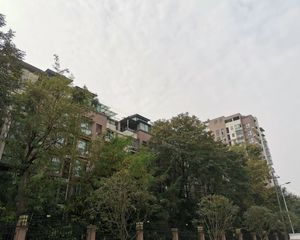 棠湖泊林镇2室2厅东西