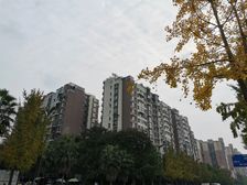 棠湖泊林镇4室2厅东南