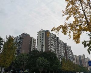 棠湖泊林镇4室2厅东南