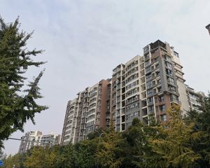 棠湖泊林镇3室2厅东南