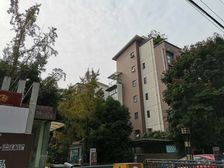 棠湖泊林镇2室1厅南
