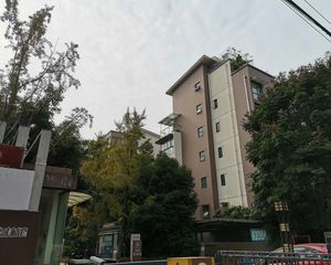 棠湖泊林镇2室1厅南
