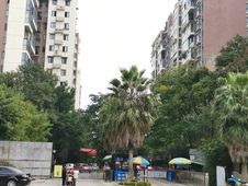 房子在售棠湖泊林镇3室2厅2卫1155㎡洋房