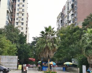 棠湖泊林镇4室2厅南