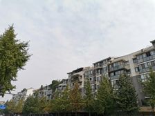 贵通御苑枫景3室2厅南北