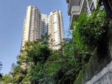 融侨 金辉融侨半岛香弥山1号二房67万