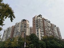 棠湖泊林镇4室2厅南