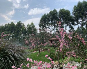 恒大滨河左岸 3室1厅 西南