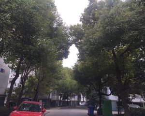 五山公寓 楼中楼 复式 朝南大车库 精装 近中南狼山