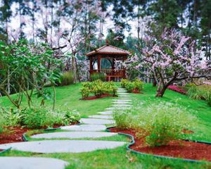 恒大滨河左岸 3室1厅 东南