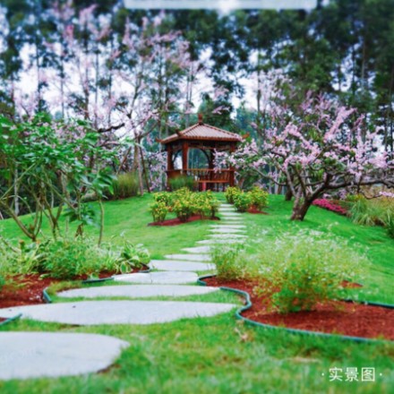 恒大滨河左岸