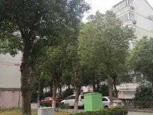 诚心出售!梅石小区装修复试,保养好,看房方便,价格好谈