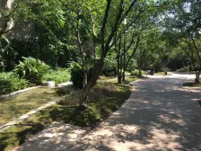 大学城 龙湖东桥郡一组团四房290万