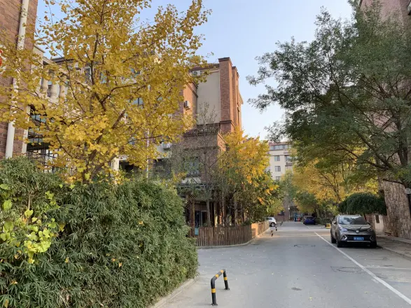 红磡领世郡常春藤实景图