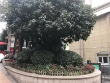 正三房双卫+邱家湾轻轨房+金科物业+ 永辉+精装修