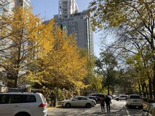 阳光都市东南朝向两居户型方正采光视野无遮挡