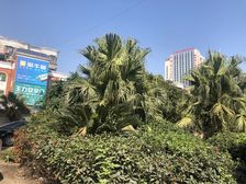 红星建材交易中心4室2厅南