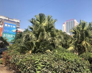 红星建材交易中心4室2厅南