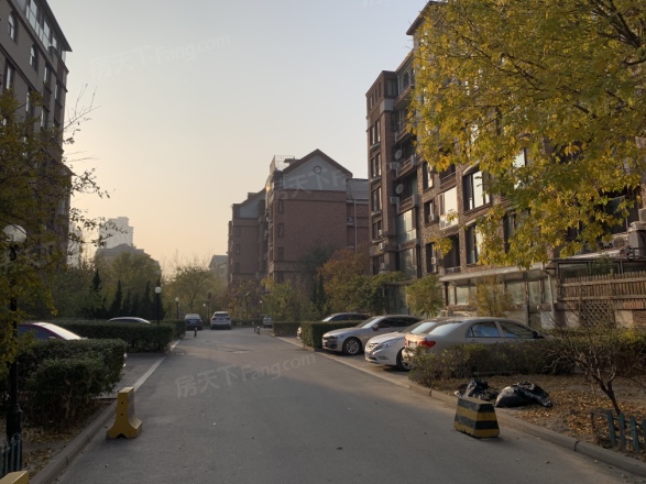 红磡领世郡常春藤实景图