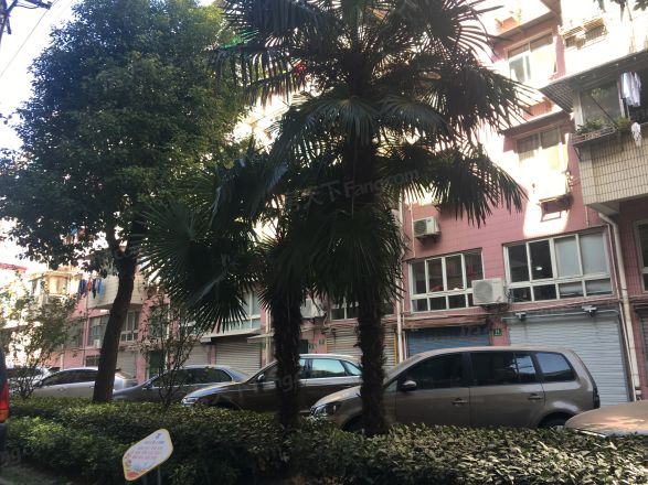 共康路400弄小区实景图