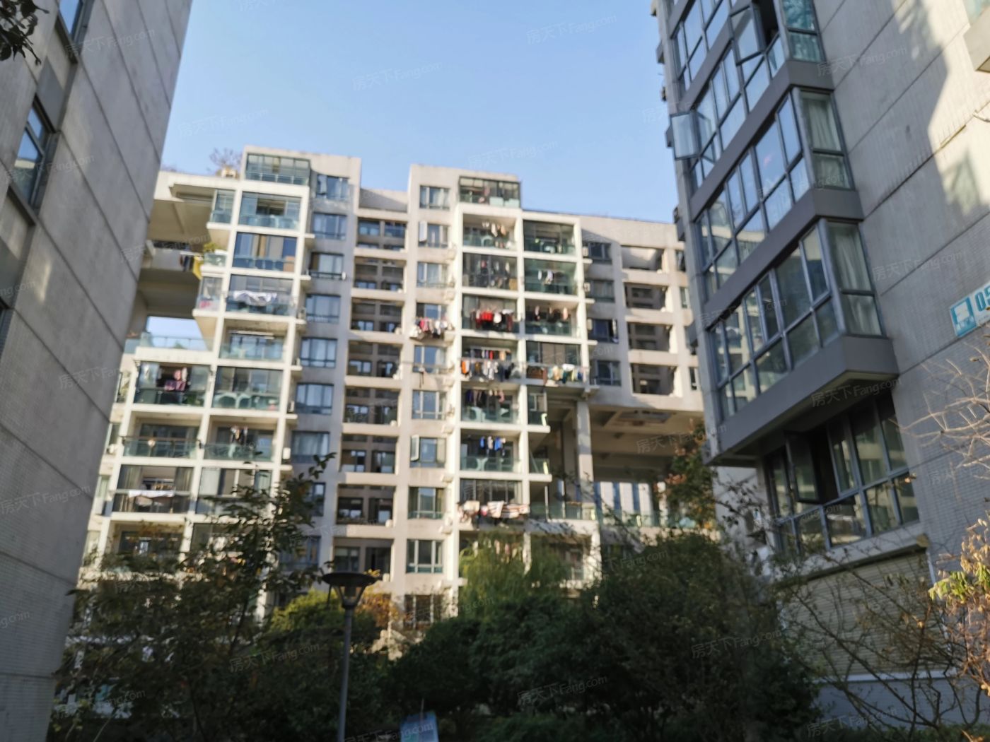 实景图