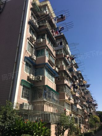 共康路400弄小区实景图