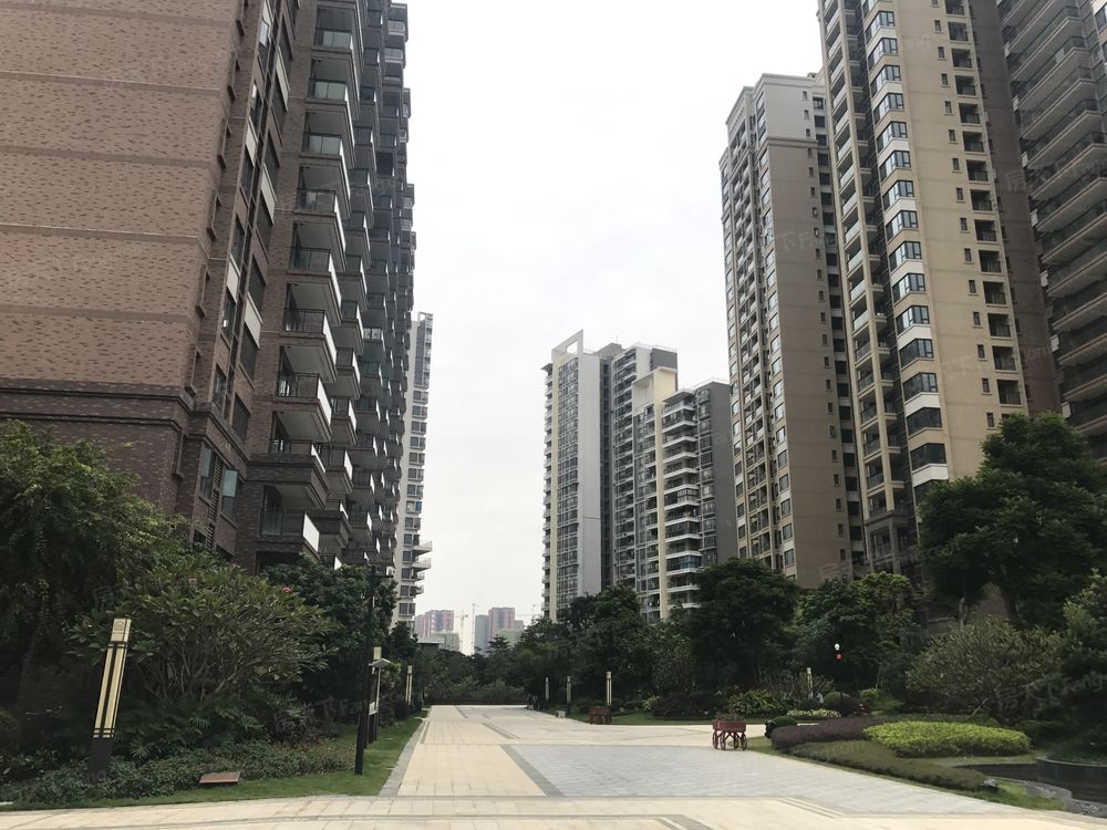 小区相关图