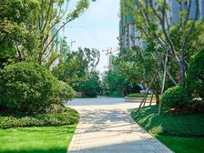 恒大林溪郡3室2厅南