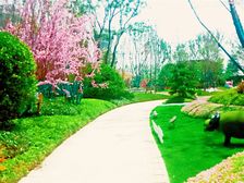 恒大御景,精装有修院子,有下室,价格美丽,手慢无