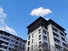 泰山府 2室1厅 南