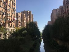 共康雅苑二期2室1厅南北