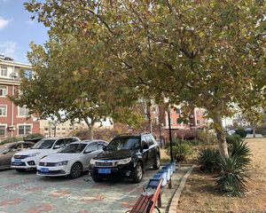 南北通透独立客厅简单装修楼层适中适合居住位置好