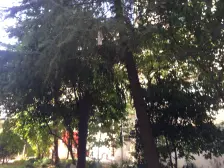 地铁3号线江湾镇,红旗小学,平溪广场,南北通全明,价格好谈