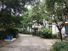 银河花园3室2厅南